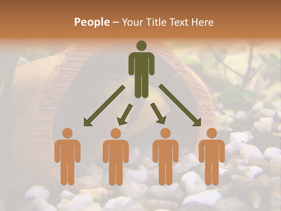 Yellow Fish Cichlid PowerPoint Template