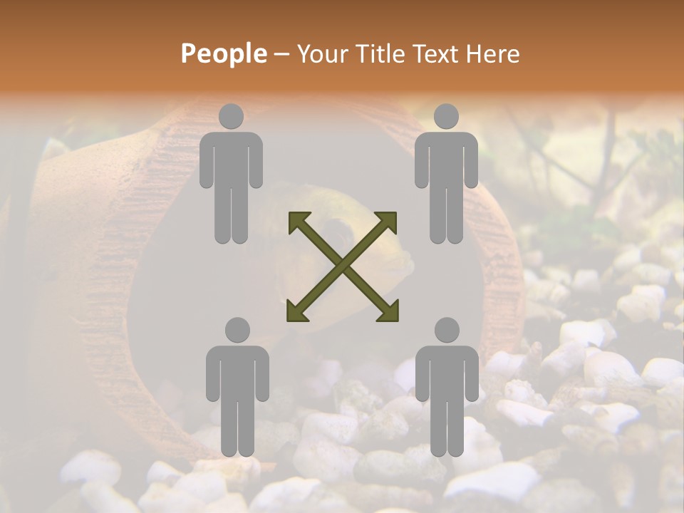 Yellow Fish Cichlid PowerPoint Template