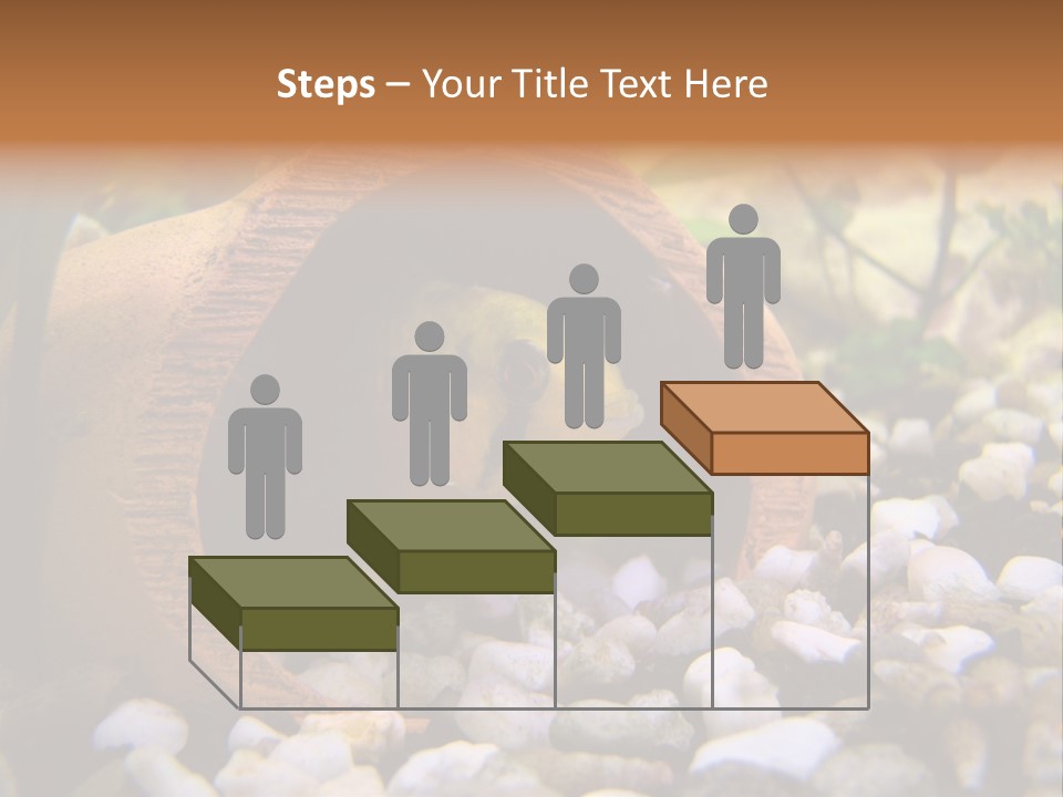 Yellow Fish Cichlid PowerPoint Template