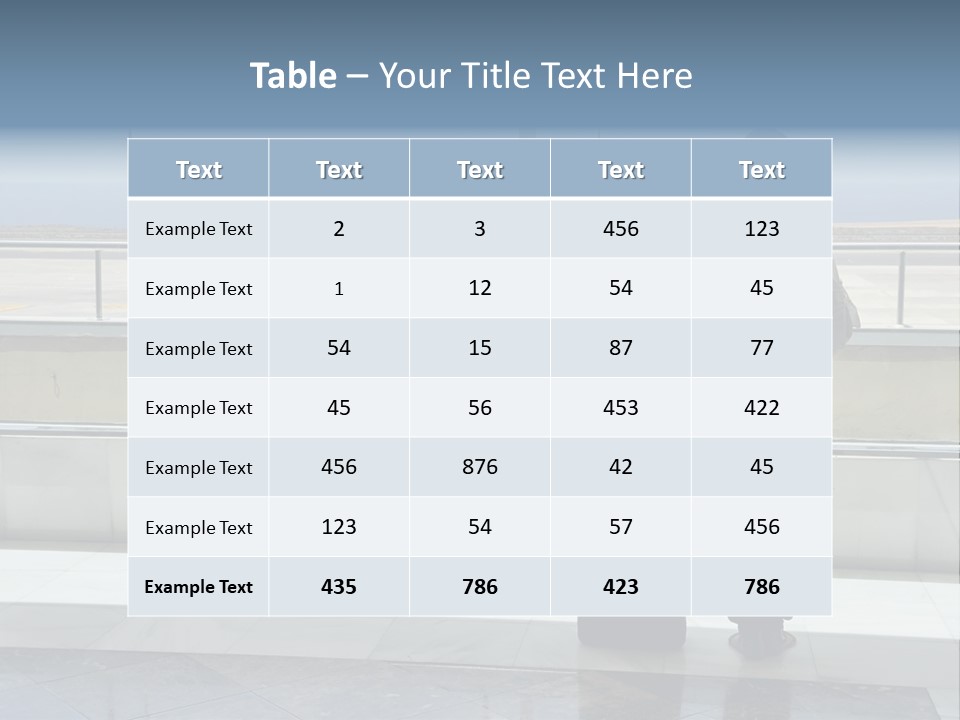 Bag Airplane Tour PowerPoint Template