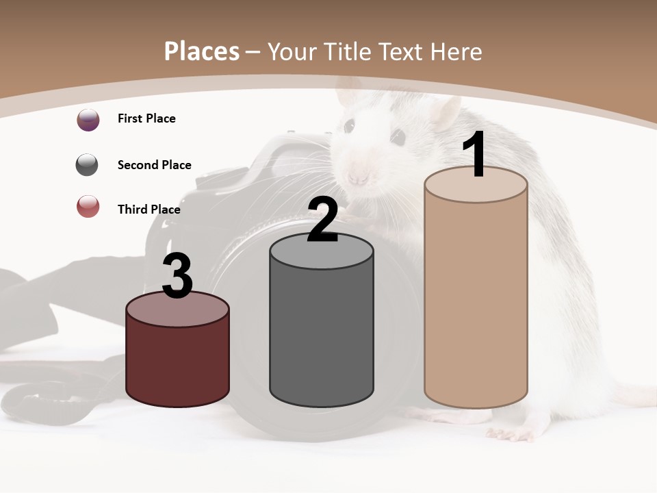 Take Creative Artist PowerPoint Template