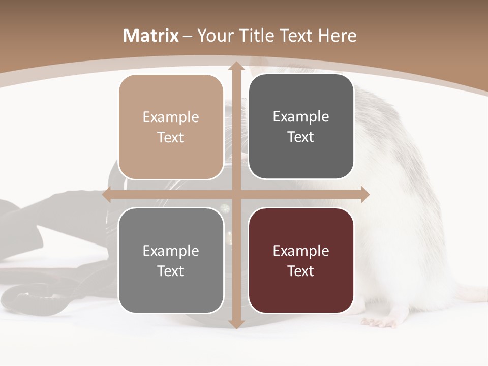 Take Creative Artist PowerPoint Template