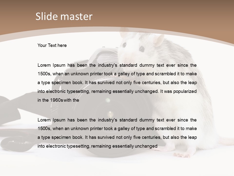 Take Creative Artist PowerPoint Template