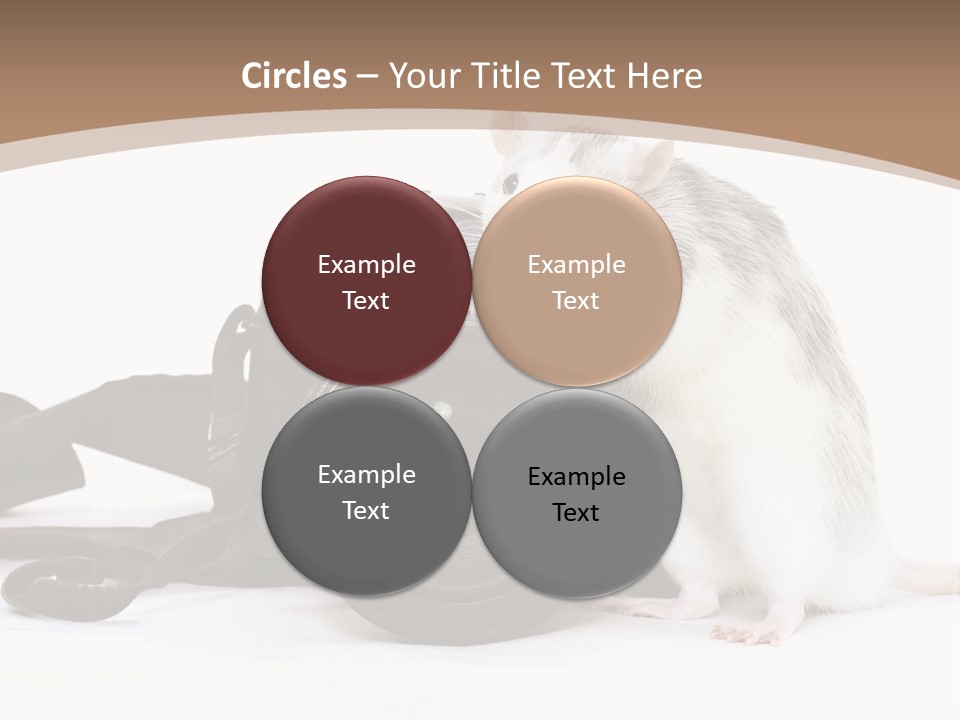 Take Creative Artist PowerPoint Template