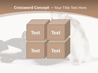 Take Creative Artist PowerPoint Template