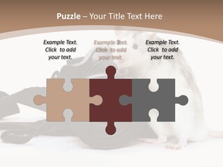 Take Creative Artist PowerPoint Template