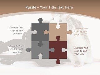 Take Creative Artist PowerPoint Template