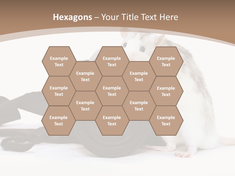 Take Creative Artist PowerPoint Template