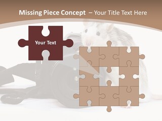 Take Creative Artist PowerPoint Template