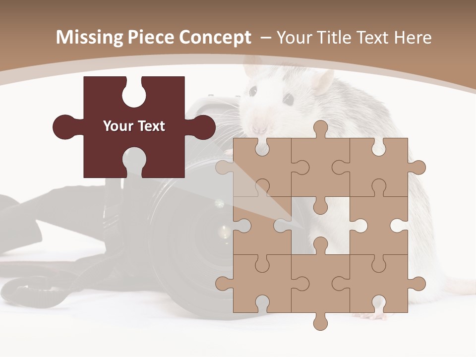 Take Creative Artist PowerPoint Template