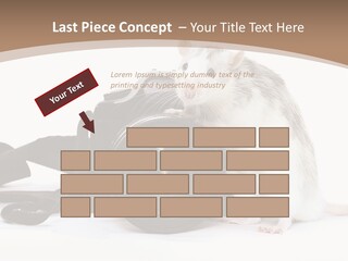 Take Creative Artist PowerPoint Template