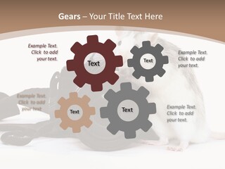 Take Creative Artist PowerPoint Template