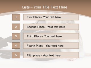 Take Creative Artist PowerPoint Template