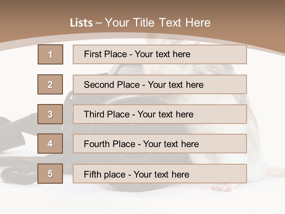 Take Creative Artist PowerPoint Template
