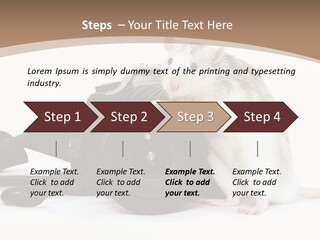 Take Creative Artist PowerPoint Template