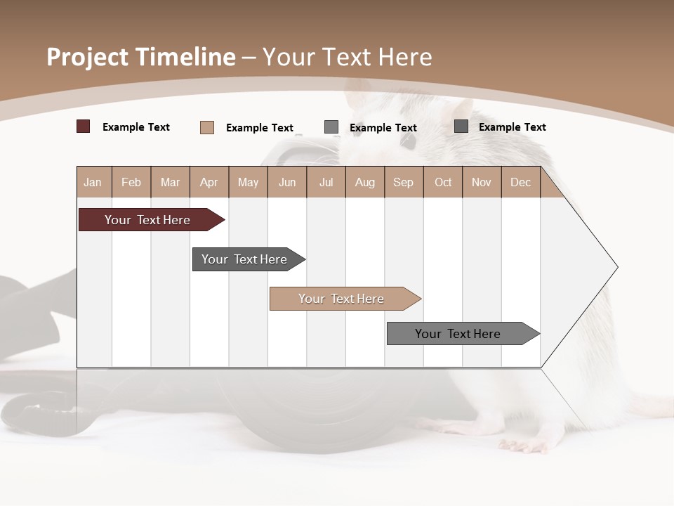 Take Creative Artist PowerPoint Template
