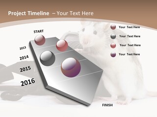 Take Creative Artist PowerPoint Template