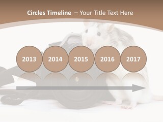 Take Creative Artist PowerPoint Template