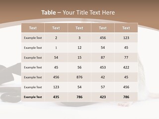 Take Creative Artist PowerPoint Template