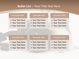 Take Creative Artist PowerPoint Template