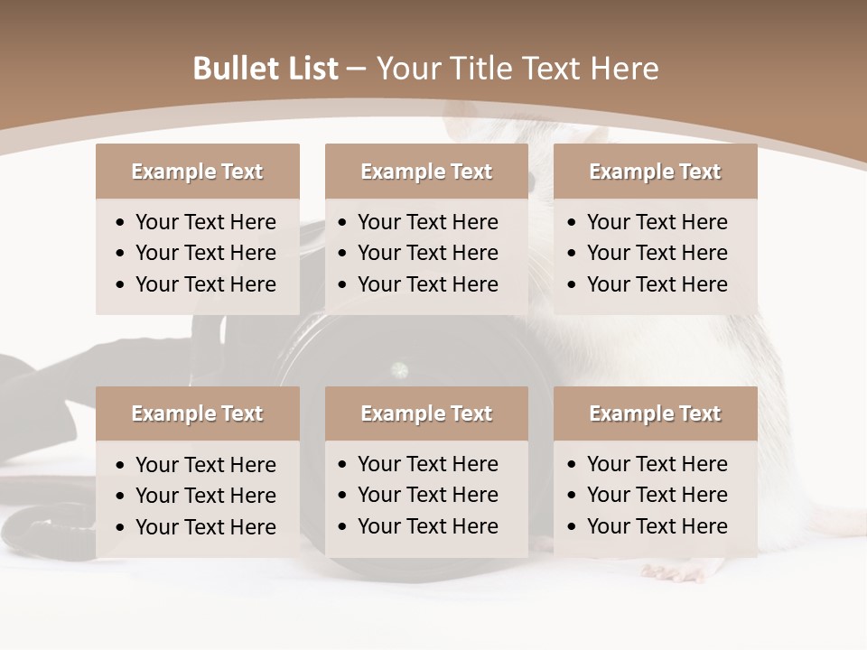 Take Creative Artist PowerPoint Template