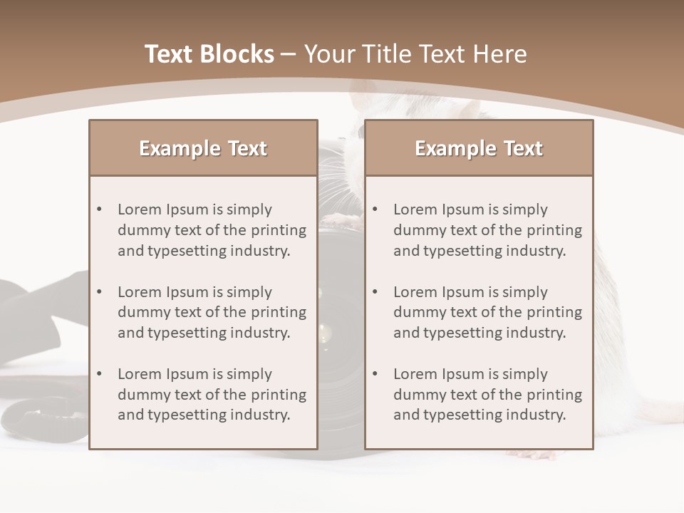 Take Creative Artist PowerPoint Template