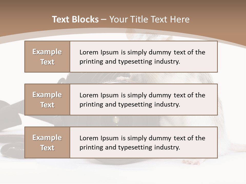 Take Creative Artist PowerPoint Template