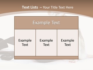 Take Creative Artist PowerPoint Template