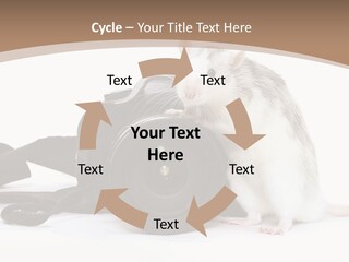 Take Creative Artist PowerPoint Template