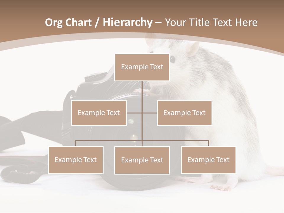 Take Creative Artist PowerPoint Template