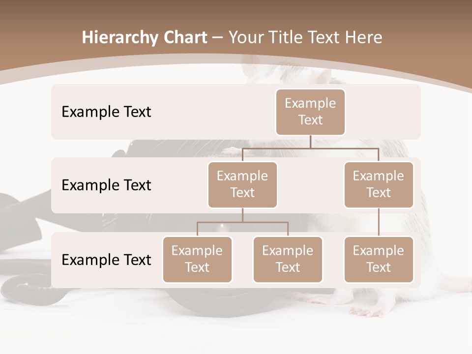 Take Creative Artist PowerPoint Template
