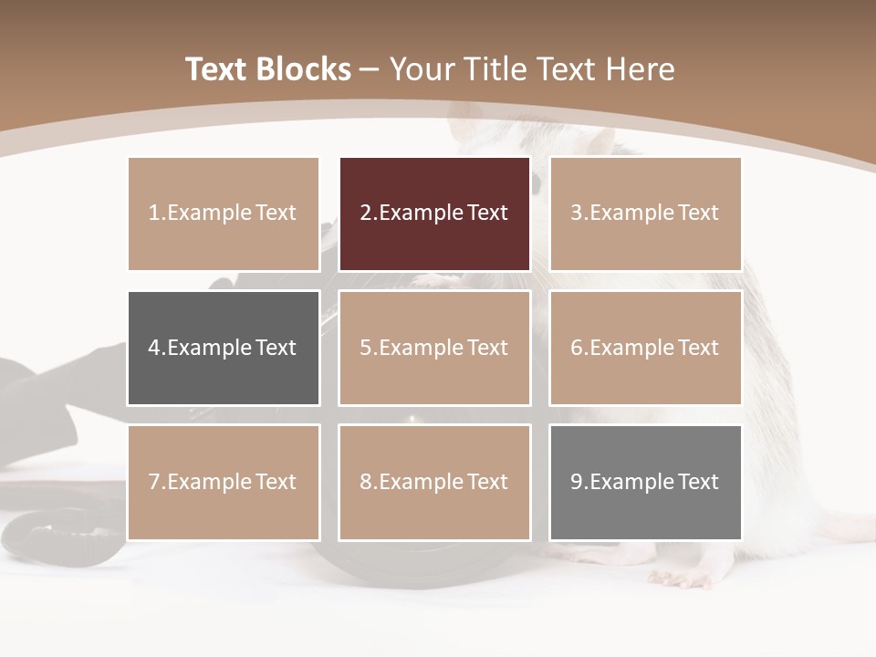 Take Creative Artist PowerPoint Template