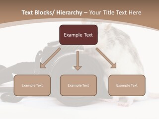 Take Creative Artist PowerPoint Template