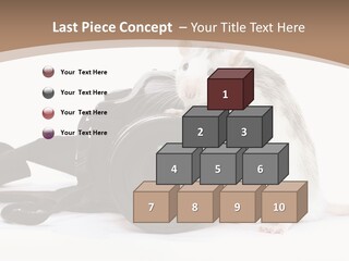 Take Creative Artist PowerPoint Template