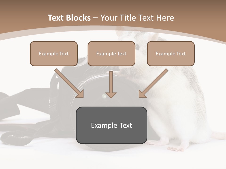 Take Creative Artist PowerPoint Template