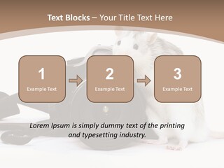 Take Creative Artist PowerPoint Template