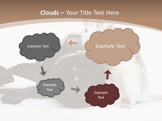 Take Creative Artist PowerPoint Template