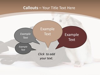 Take Creative Artist PowerPoint Template