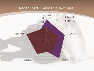 Take Creative Artist PowerPoint Template