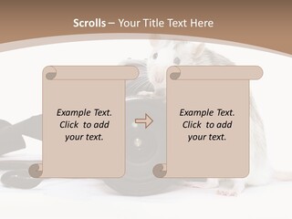 Take Creative Artist PowerPoint Template