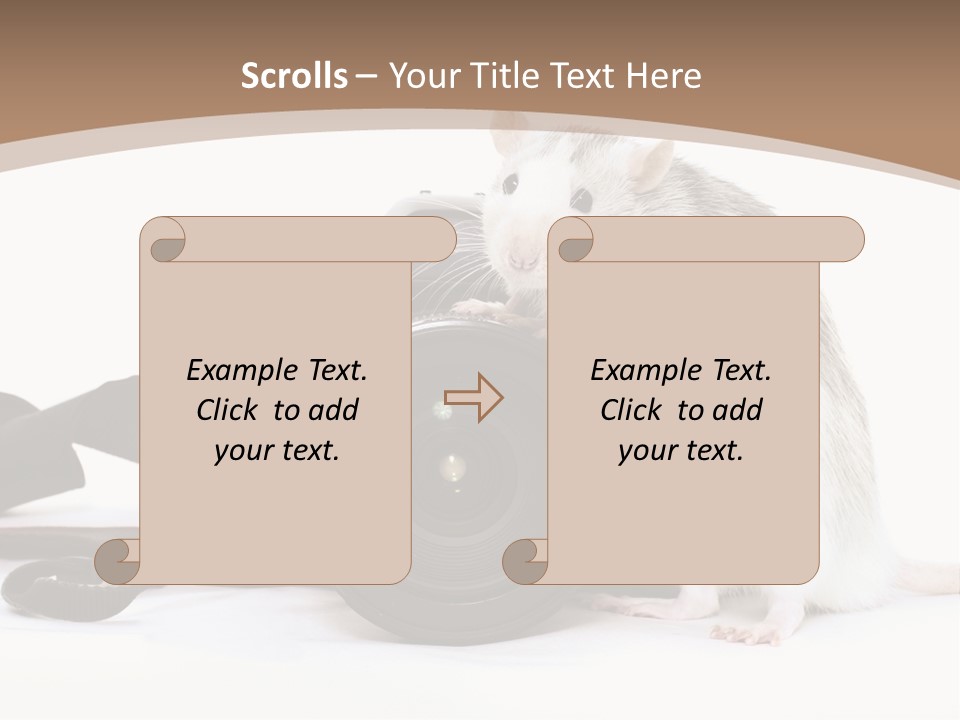 Take Creative Artist PowerPoint Template