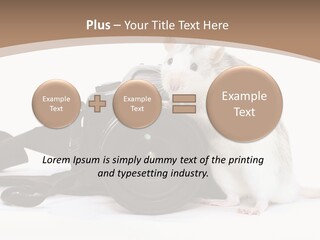 Take Creative Artist PowerPoint Template