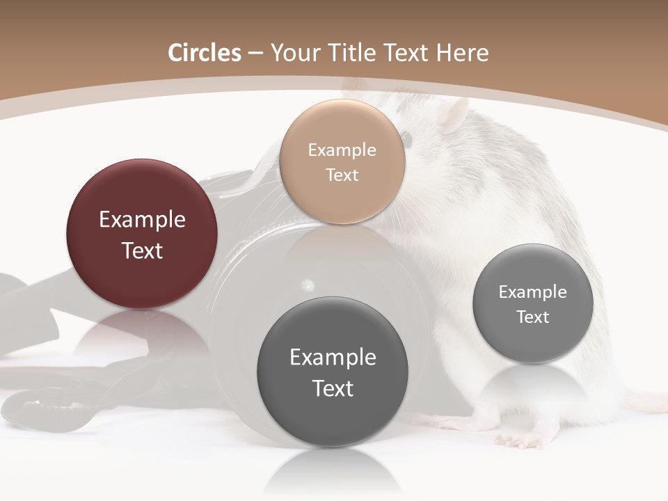 Take Creative Artist PowerPoint Template