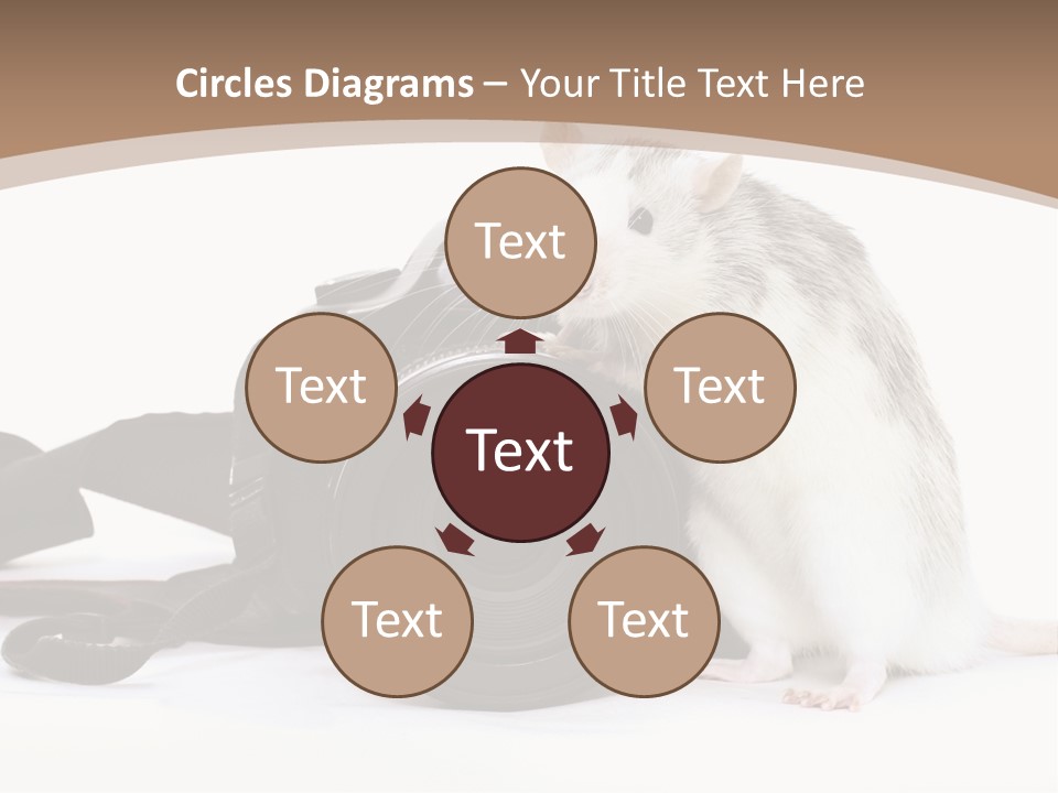 Take Creative Artist PowerPoint Template