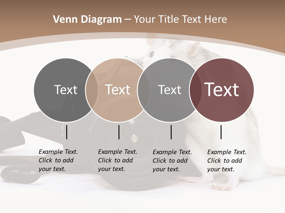 Take Creative Artist PowerPoint Template