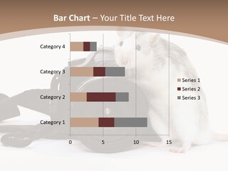 Take Creative Artist PowerPoint Template