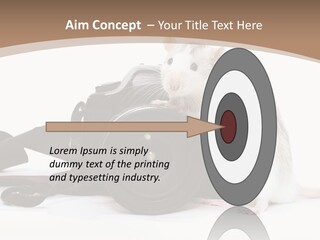 Take Creative Artist PowerPoint Template