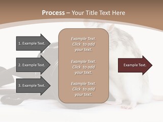 Take Creative Artist PowerPoint Template