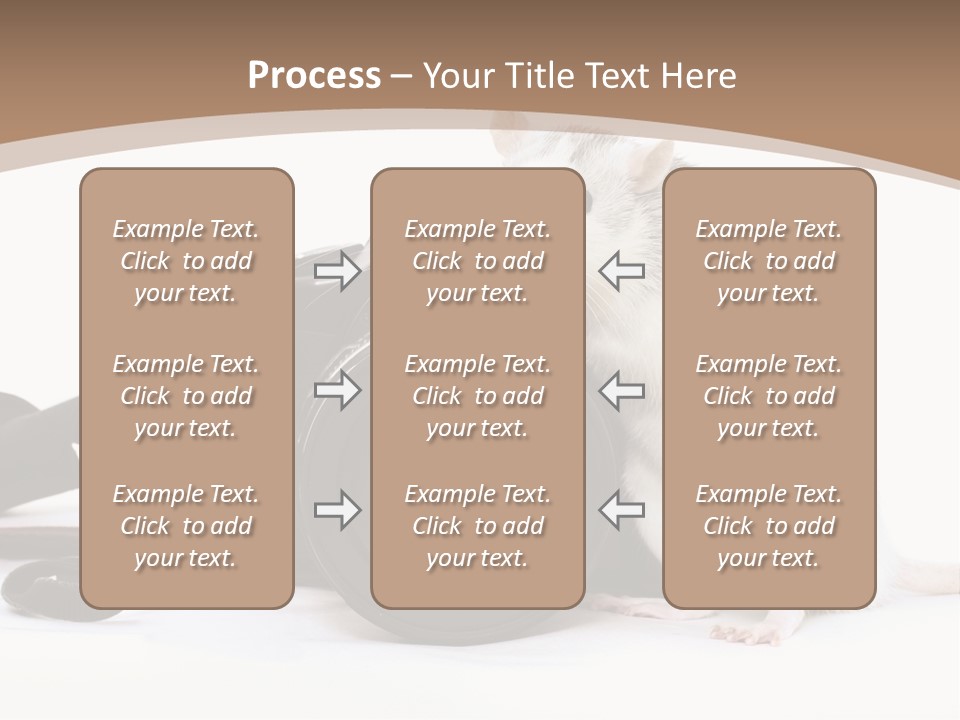 Take Creative Artist PowerPoint Template