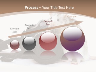 Take Creative Artist PowerPoint Template